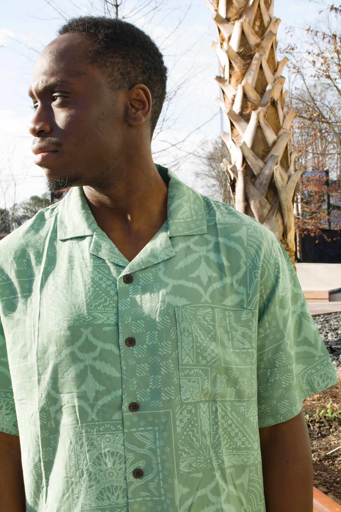 Print Shirt